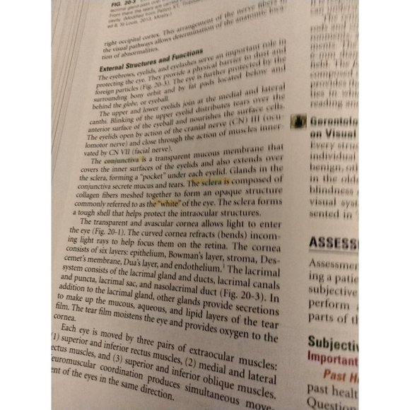 Medical Surgical Nursing Study Guide 10th Ed Lewis ISBN Nurse Student Elsevier - Picture 5 of 5